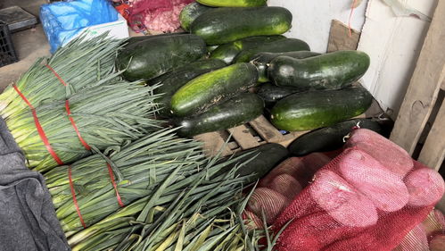 蔬菜價格高位運行，專家預測九月上旬將回落