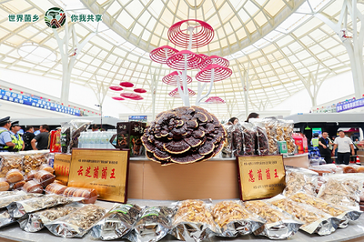 云南南華 菌旅與鮮果，邀您解鎖別樣清涼暑期